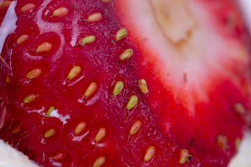 Detailed Sweet Yummy Strawberry