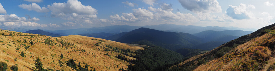 Fototapeta premium Mountains Karpaty and yellow hills with green forest panorama