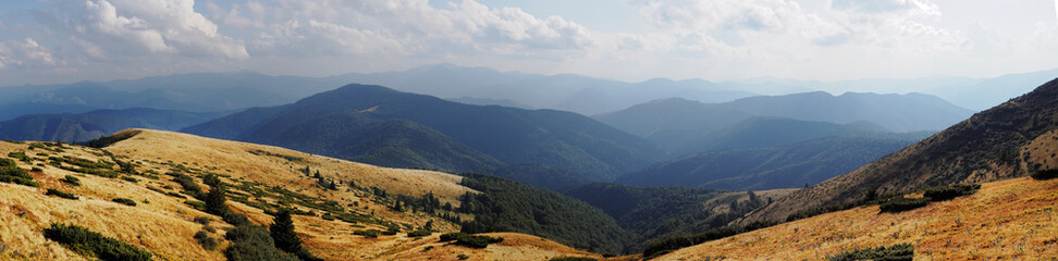 Fototapeta premium Mountains Karpaty and yellow hills with green pine forest panorama