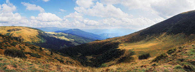 Mountains Karpaty and yellow hills   panorama