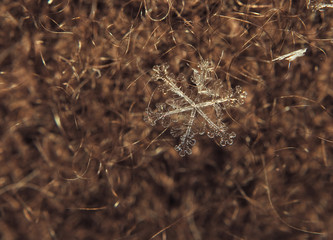 Snowflake big on the red background