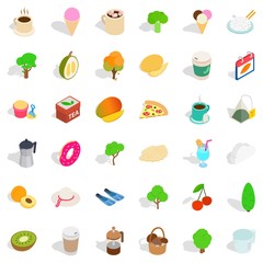 Berry icons set, isometric style