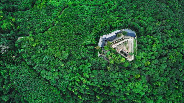 burg im wald von oben
