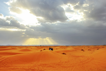 Fototapeta na wymiar Sunset in the Sahara desert. Africa. Morocco.
