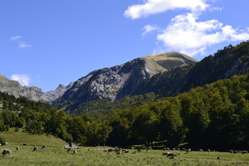 Aguas Tuertas, Pirineo Aragones