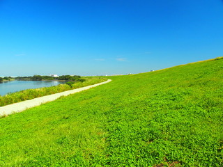 江戸川の土手風景