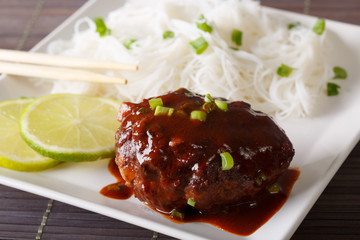 Hamburg Steak or Hambagu  with garnish of rice vermicelli close-up. Horizontal