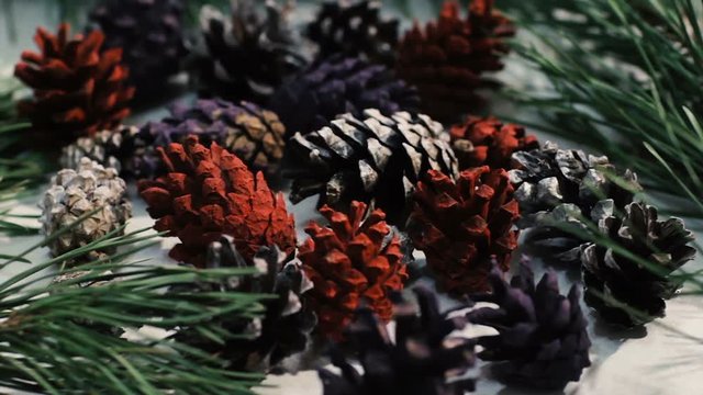 Close up of nature winter decoration in motion. Colorful strobilas with pine on white background. Christmas and New Year holidays, celebration and decor concept