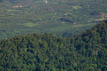 Images of long distance nature mountain green tree forest landscape.