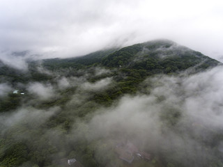 From foggy's above
