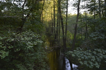 Sunset over the Cybina river in autumn forest