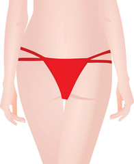 Women wearing red panties. vector illustration 