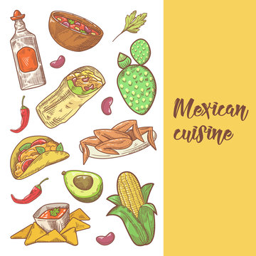 Mexican Food Hand Drawn Doodle. Mexico Traditional Cuisine Menu. Vector illustration