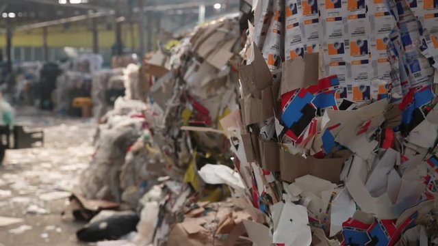 Big Factory For Recycling Paper and Carboard. Material Recovery Facility. Sorted cardboard waste ready for reprocessing. Sorted cardboard waste ready for reprocessing.