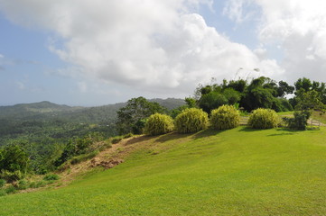 Fototapeta na wymiar Landscape in Barbados