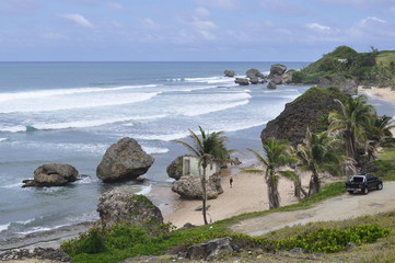 Obraz premium Coastline in Barbados