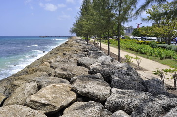 Rocky Coastline in Barbados