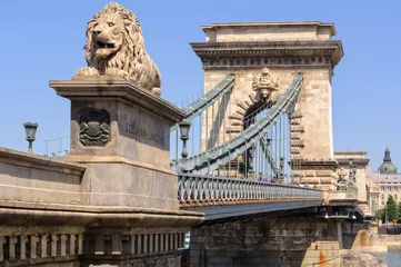 Photo sur Plexiglas Széchenyi lánchíd L& 39 un des quatre lions gardiens du pont à chaînes Széchenyi - Budapest, Hongrie