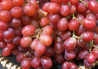 Bunch of Red Grapes