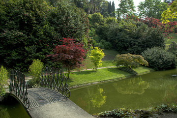 Lake Como; Bellagio, villa Melzi gardens, oriental garden with red maple and water lily