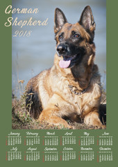 Wall Calendar Poster for 2018 Year with photo dog. Week Starts Sunday