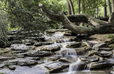 Torrent de montagne 