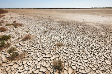 arid and waste land