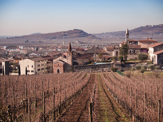 Winter landscape of Soave (Italy) surrounded by vineyards.