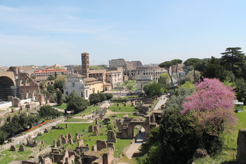 Fototapeta premium rome