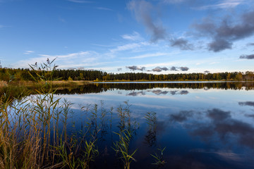 autumn colored trees on the shore of lake with reflections in water
