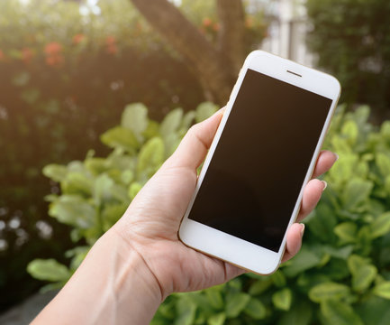 Woman's Hand Holding A White Mobile Phone With Blank Black Screen In Green Garden And Lens Flare.