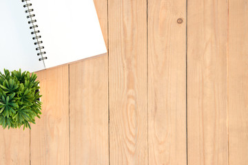 Copy space white empty book and tree on pot over plank wood table, textured