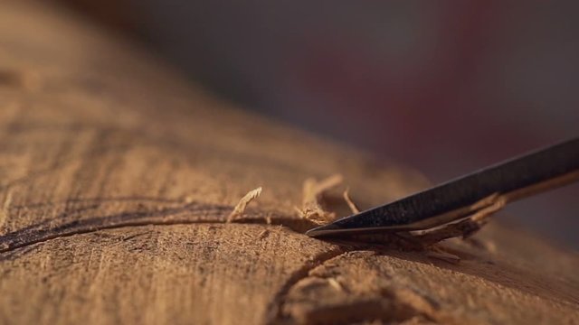 Close up amazing woodcarving rapid slow motion