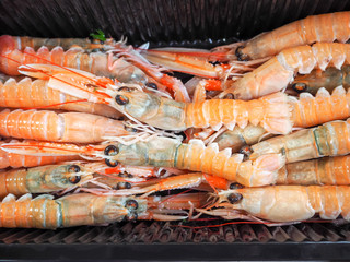 Fresh Mediterranean King Prawns / Shrimp, Croatia seafood bought from a town market