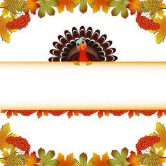 Turkey bird for Happy Thanksgiving celebration