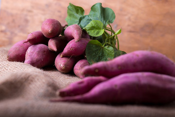 roots of sweet potatoes