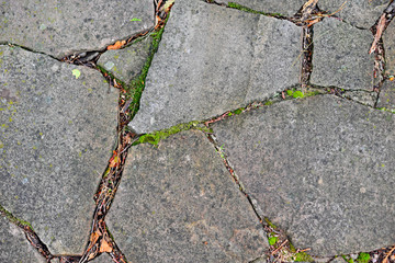 Obraz premium background texture of stone, crushed stone and brick