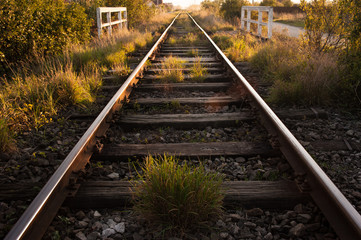 train tracks