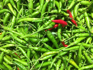 Red Hot Green and Red Chilies for Spicy Asian Foods