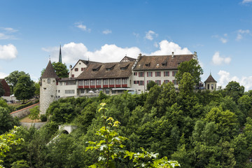 View of Castle Laufen over the Rhine Falls, Rheinfall, in Canton Zurich, Switzerland