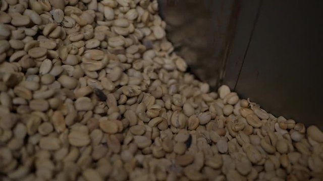Sorting and grading coffee bean
