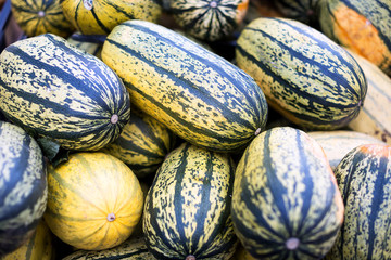 Heap of striped pumpkins at market