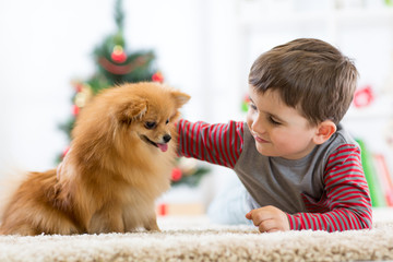 Little boy and dog at Christmas