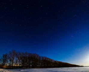 Winter the starry sky above the trees. The moon lights up the snow field.