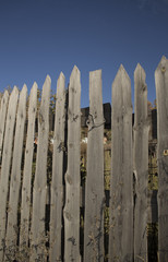 Old wood fence