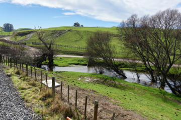 Stream cutting across grass covered fenced meadows in new Zealand