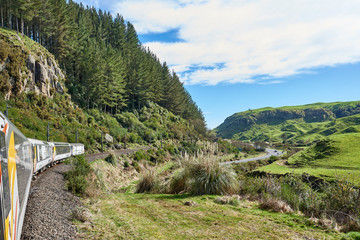 Fototapeta na wymiar Train running through a wooded grassland alongside a road in New Zealand