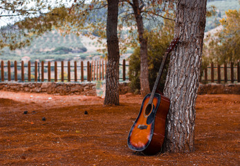 guitar outdoors laying on a tree and dead yellow leafs on the ground