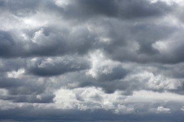 空と雲「空想・雲のモンスターたち」