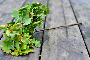 Autumn forest fruit background. Acorns on tree bark and autumn colorful leaves with copyspace. background and texture of trees, bark and boards